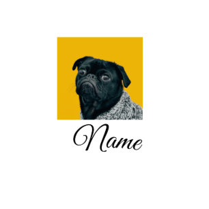 Simple colorful animal add name photo custom throw cutout