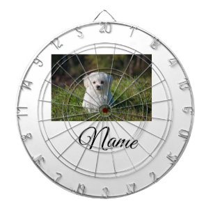 Simple colorful animal add name photo custom throw dart board