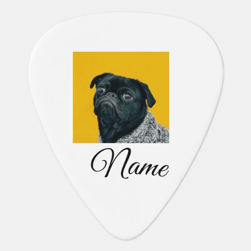 Simple colorful animal add name photo custom throw guitar pick