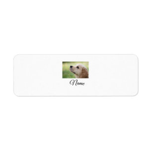 Simple colorful animal add name photo custom throw label