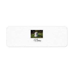 Simple colorful animal add name photo custom throw label