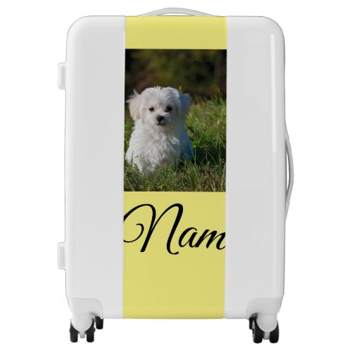 Simple colorful animal add name photo custom throw luggage