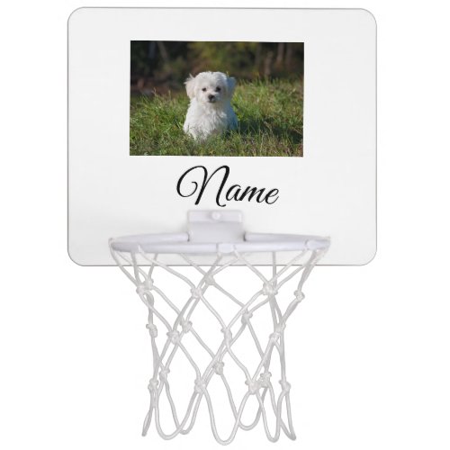 Simple colorful animal add name photo custom throw mini basketball hoop
