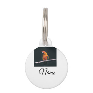 Simple colorful animal add name photo custom throw pet ID tag