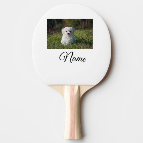 Simple colorful animal add name photo custom throw ping pong paddle