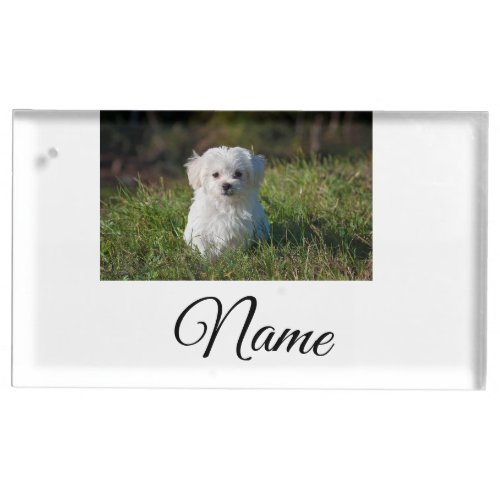 Simple colorful animal add name photo custom throw place card holder