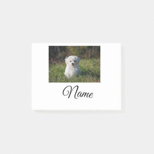 Simple colorful animal add name photo custom throw post_it notes