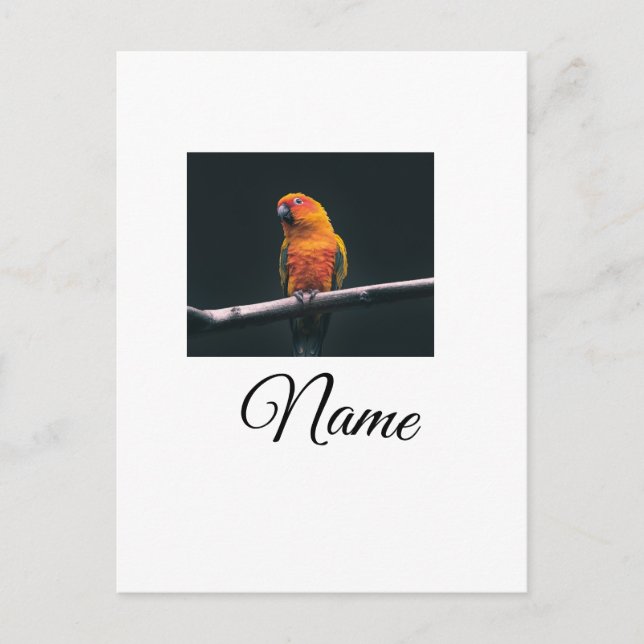 Simple colorful animal add name photo custom throw postcard (Front)