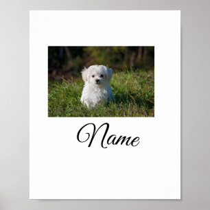 Simple colorful animal add name photo custom throw poster