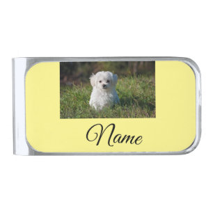 Simple colorful animal add name photo custom throw silver finish money clip