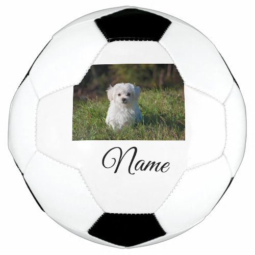 Simple colorful animal add name photo custom throw soccer ball