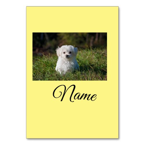 Simple colorful animal add name photo custom throw table number