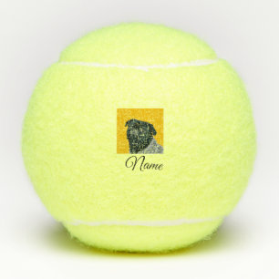 Simple colorful animal add name photo custom throw tennis balls