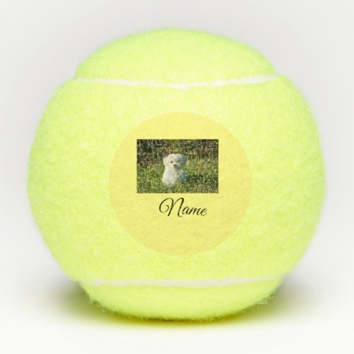 Simple colorful animal add name photo custom throw tennis balls