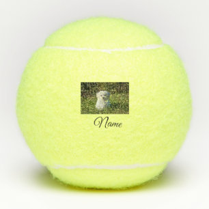 Simple colorful animal add name photo custom throw tennis balls
