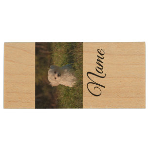 Simple colorful animal add name photo custom throw wood flash drive