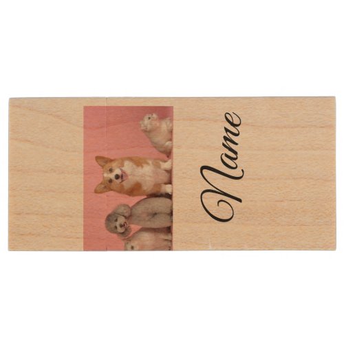 Simple colorful animal add name photo custom wood flash drive