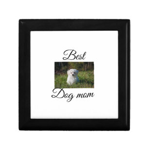 Simple colorful animal add name photo dog mom gift box