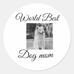 Simple colorful animal add name photo dog mom gift classic round sticker