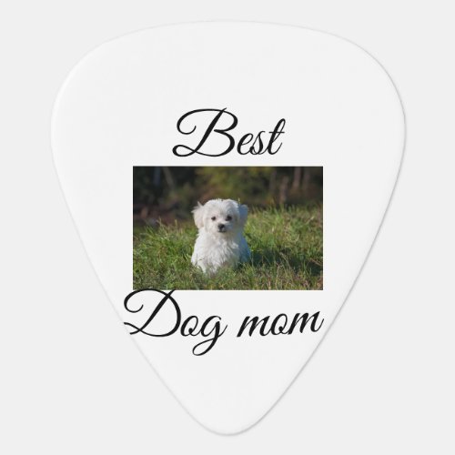 Simple colorful animal add name photo dog mom gift guitar pick