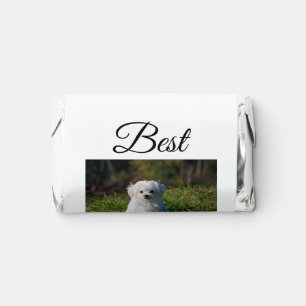 Simple colorful animal add name photo dog mom gift hershey's miniatures