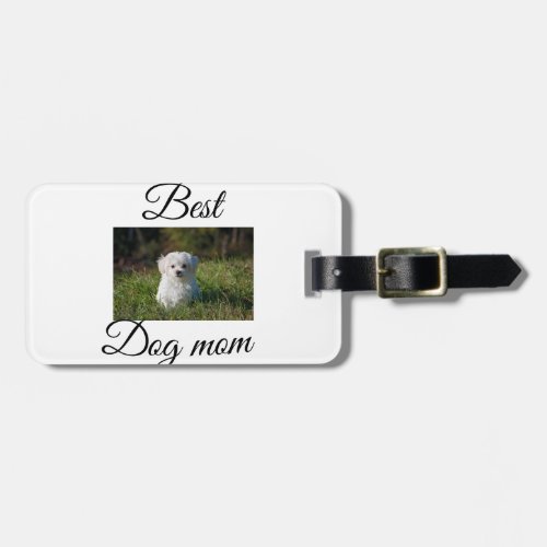Simple colorful animal add name photo dog mom gift luggage tag