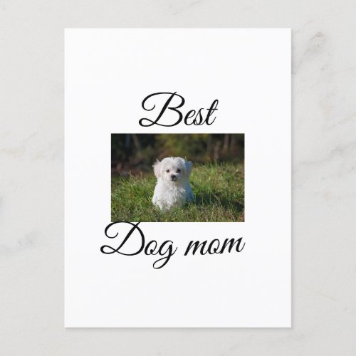 Simple colorful animal add name photo dog mom gift postcard