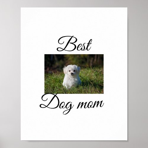Simple colorful animal add name photo dog mom gift poster