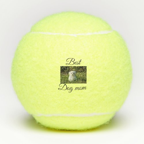 Simple colorful animal add name photo dog mom gift tennis balls