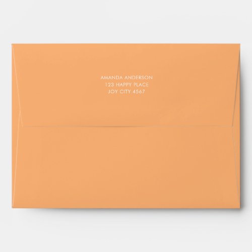 Simple Colorful Bright Solid Pastel Orange Envelope
