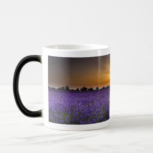 Simple creative mug color glaze ceramic cup Nordic