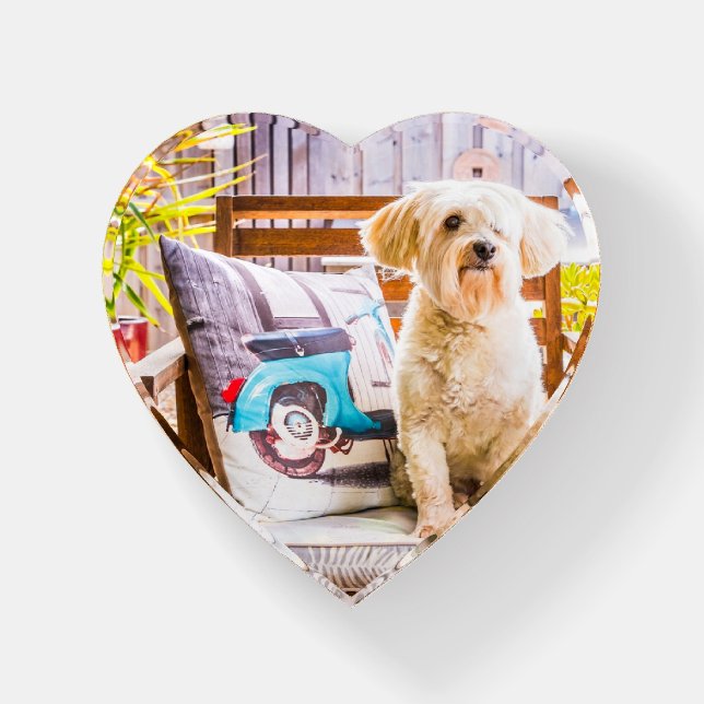 Simple Custom Pet Photo Paperweight (Front)