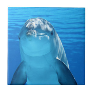 Simple Custom Photo  Ceramic Tile