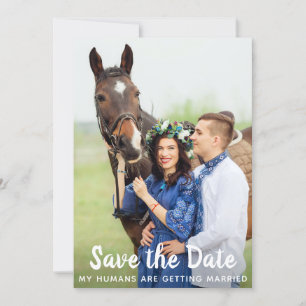 Simple Custom Photo Pet Horse Wedding Save The Date