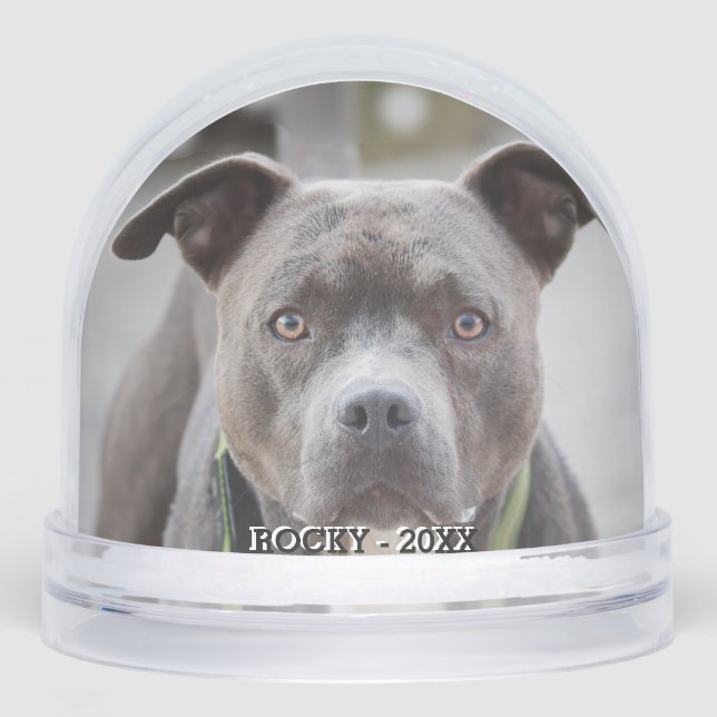 Simple Custom Pit Bull Dog Photo Snow Globe (Front)
