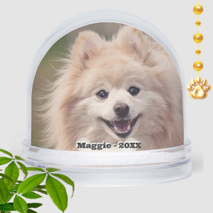 Simple Custom Pomeranian Dog Photo Snow Globe