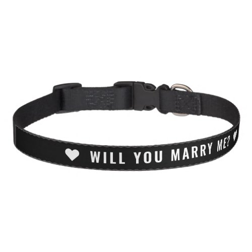 Simple Cute Marriage Proposal Will You Marry Me Pet Collar