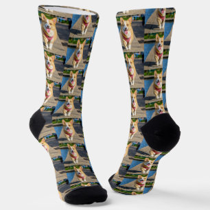 Simple Cute Pet Dog Photo Socks