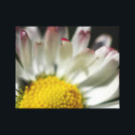 Simple Daisy Canvas Print<br><div class="desc">Delightfully simple Daisy flower, sure to brighten up any room all year round.</div>