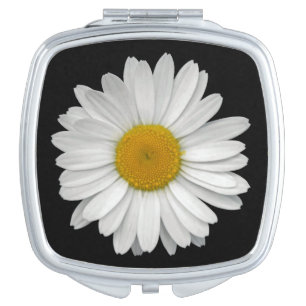 Simple Daisy Flower Closeup Compact Mirror