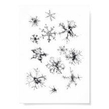 Simple Delicate Snowflakes