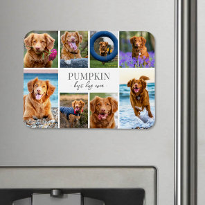 Simple Dog Pet Photo Collage Magnet