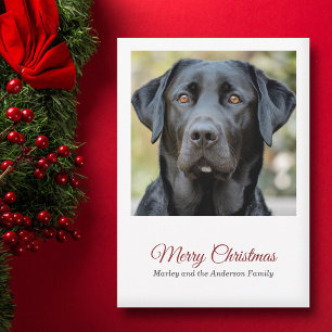 Simple Dog Photo Merry Christmas Holiday Card