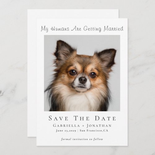 Simple Dog Photo Wedding Save the Date