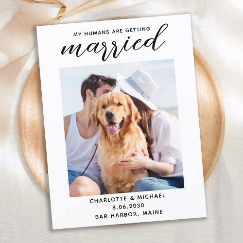 Simple Dog Wedding Photo Save The Date Announcement Postcard