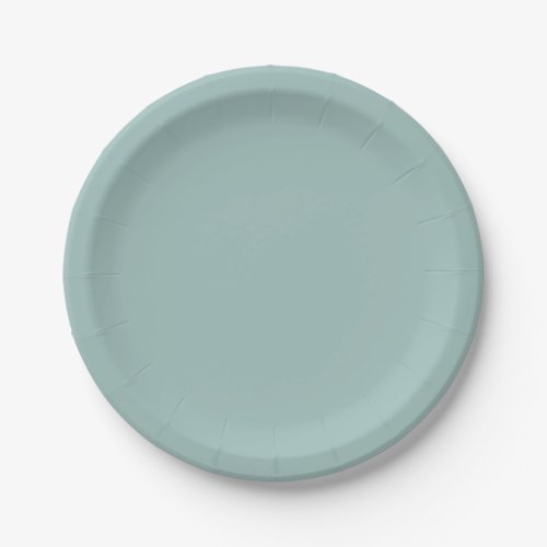 Simple Eggshell Blue Birch Wedding Plates