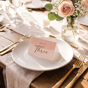 Simple Elegant Blush Wedding Table Place Card