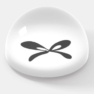 Simple elegant custom logo here company paperweight