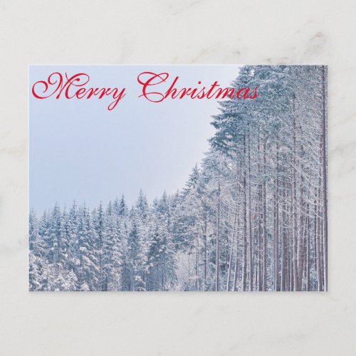 Simple Elegant Red Decor Snow Merry Christmas Holiday Postcard