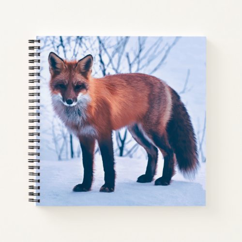 Simple Elegant Red Fox Artwork  Notebook